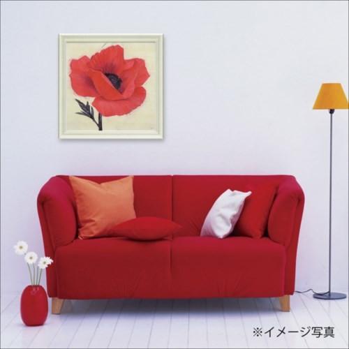フラワー アート 絵画 額縁つき Art Frames ジュービラントポピー アイボ IVOの画像