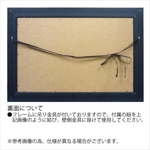 フラワー アート 絵画 額縁つき Art Frames ジュービラントポピー アイボ IVOの画像