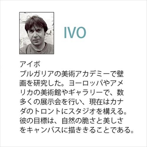 フラワー アート 絵画 額縁つき Art Frames ジュービラントポピー アイボ IVOの画像