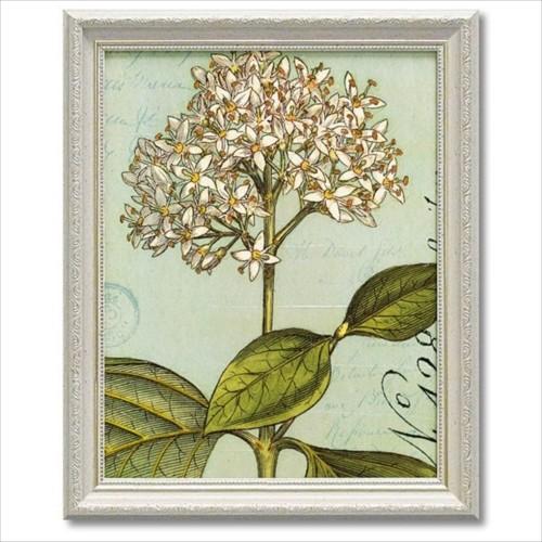 ワイルド アップル スタジオ Art Frames フラワーアート ユーパワー