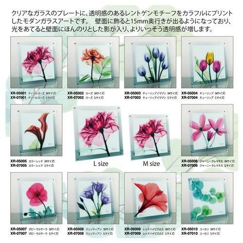 チューリップ Mサイズ お洒落 フォト フラワー アート