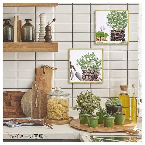 インテリア パネル ハーブコレクション モダン キャンバス アート ユーパワー ローズマリー 雑貨 15 5 15 5cm お洒落 ガーデニング インテリア キャラクターのシネマコレクション 通販 Paypayモール