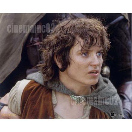 ロード・オブ・ザ・リング』捕まるフロド(イライジャ・ウッド)の横顔