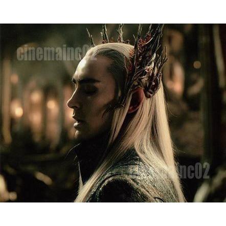 ホビット 竜に奪われた王国』横顔のスランドゥイル(リー・ペイス)の 