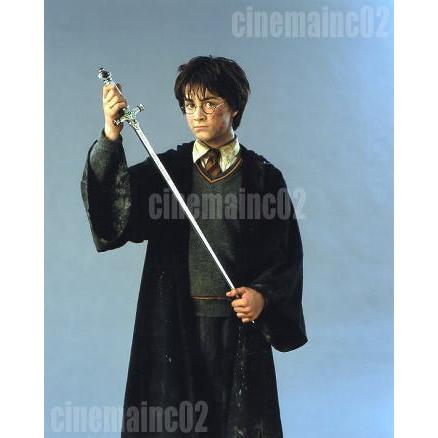 ハリー・ポッター』剣を持つハリー(ダニエル・ラドクリフ)の写真