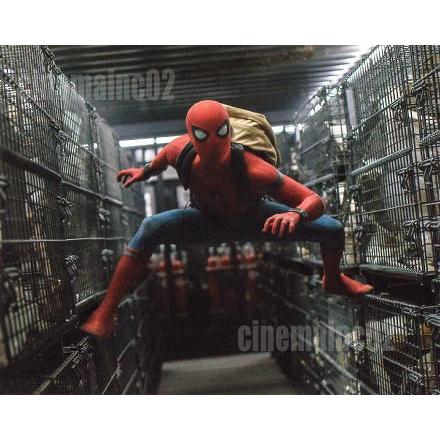 スパイダーマン ホームカミング』リュックを背負う写真/トム・ホランド