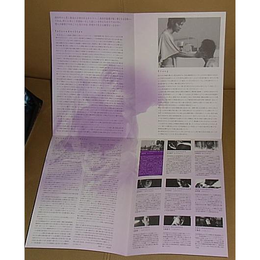 46億年の恋』プレスシート・B5/松田龍平、安藤政信 : シネマインク