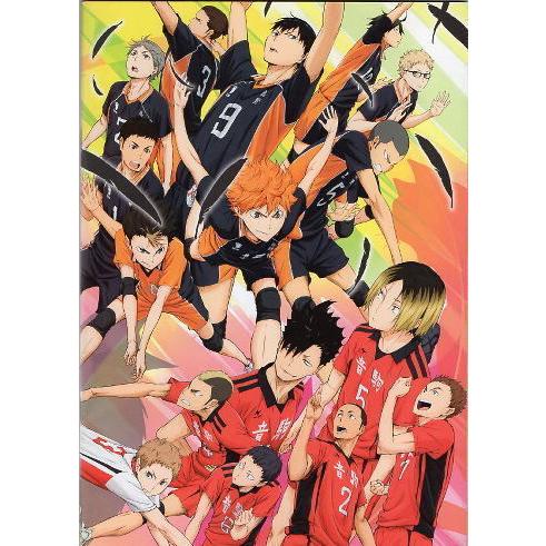 ハイキュー 終わりと始まり 映画パンフレット A４ 村瀬歩 石川界人 日野聡 入野自由 Pu シネマインク 19 通販 Yahoo ショッピング