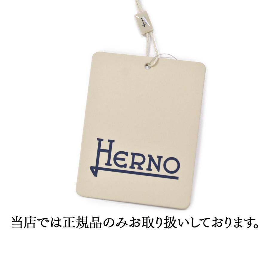 HERNO【ヘルノ】タフタロングスカート GN000044D 12483Z 2113 ポリエステル ベージュの画像