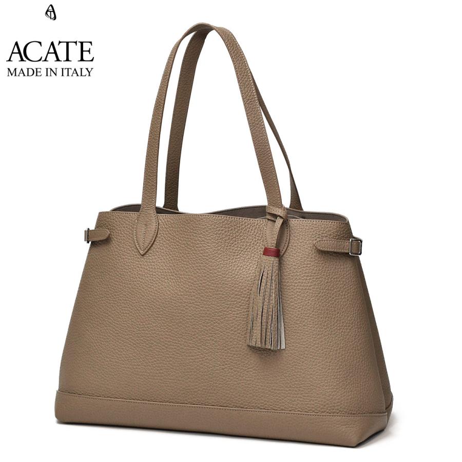 acate010200tau
