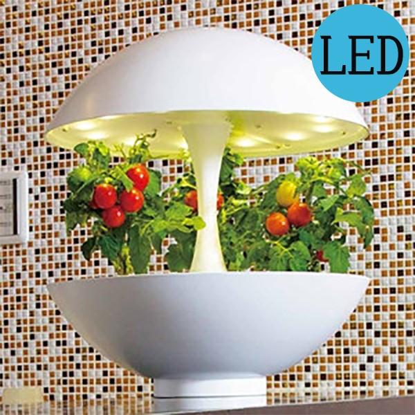 人気特価激安 灯菜 Oma01 Akarina01 Led 水耕栽培 インテリア 照明 おしゃれ デザイン 家庭菜園 リビング キッチン ダイニング カフェ 工場直送 Kuljic Com