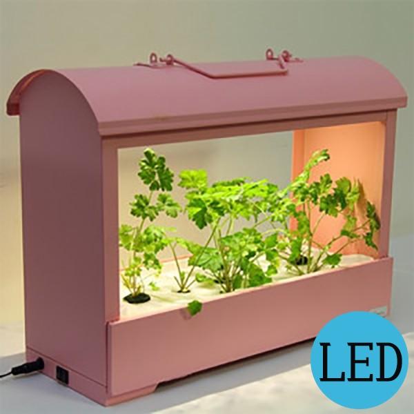 楽天 灯菜 Oma05 Pn Akarina05 ピンク Led 水耕栽培 インテリア 照明 おしゃれ デザイン 家庭菜園 リビング キッチン ダイニング カフェ 珍しい Kuljic Com