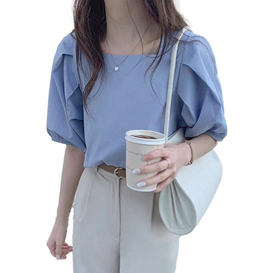 ホワイトブラウン リヴァソラ ロンティー レディース ブラウス トップス ファッション 可愛い 半袖 薄手 無地白 夏服 冷感 大きい サイズ 女性 女の子 ホワイ Panchthar Pfco P1 Gov Np