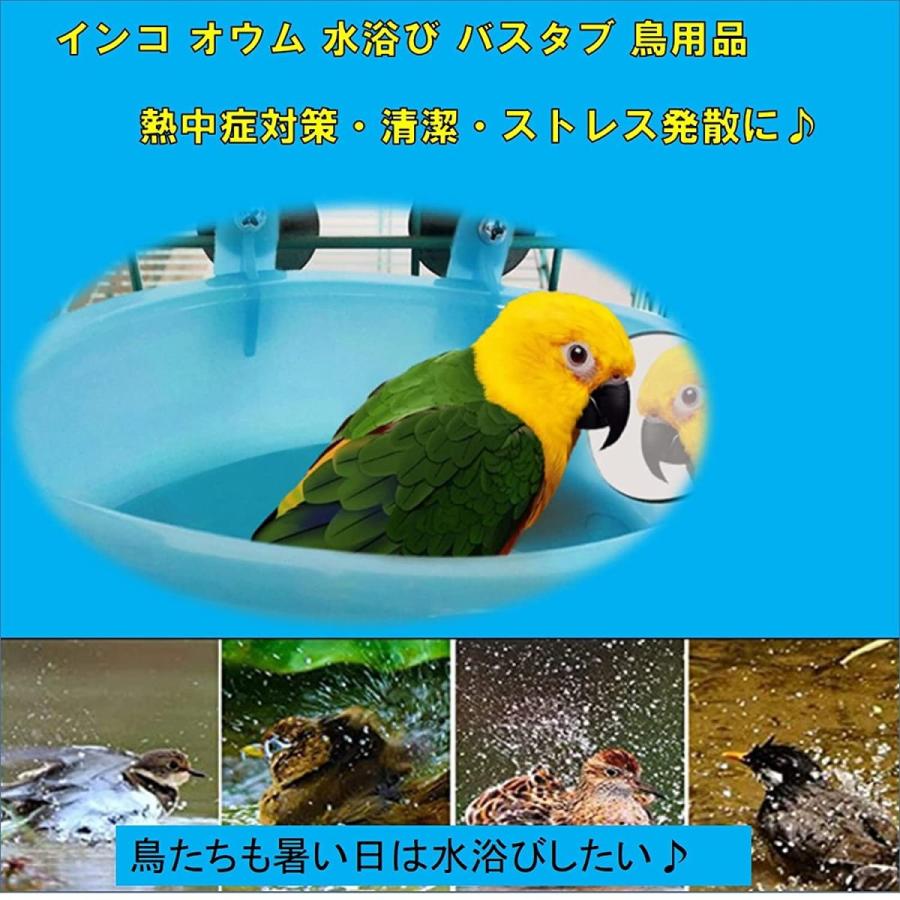 スーパーセール 鳥用品 St Ts 鳥 水浴び 容器 鏡付き インコ 文鳥 鳥用 小鳥 バスタイム ミラー ケース 鳥かご 鳥用水浴び プール Www Threeriversofs Com