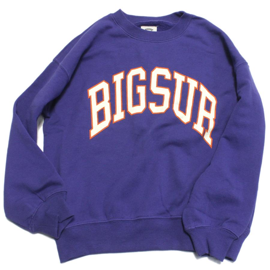 【ann】SEA FOOTBALL クロップド　スウェット ネイビー プレイヤーズスウェットパンツ（GRAY）全33種【受注】 – 鹿島