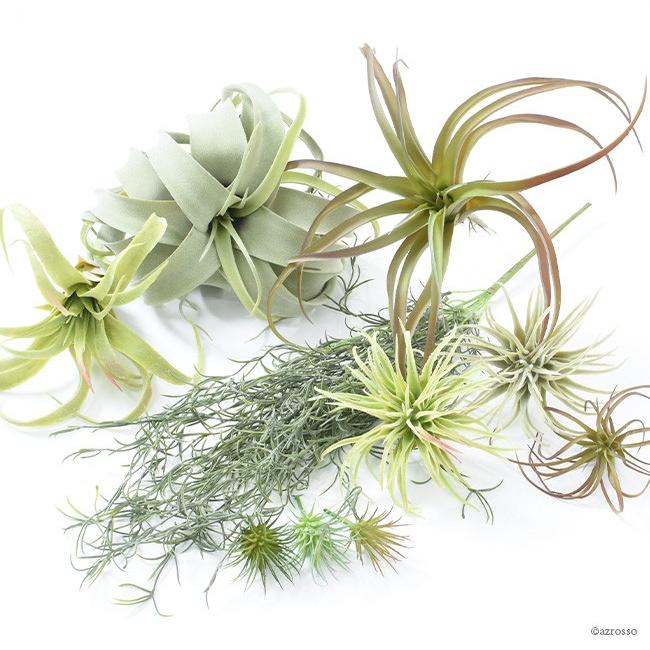 エアプランツ ティランジア アソート 10個 セット 造花 フェイク