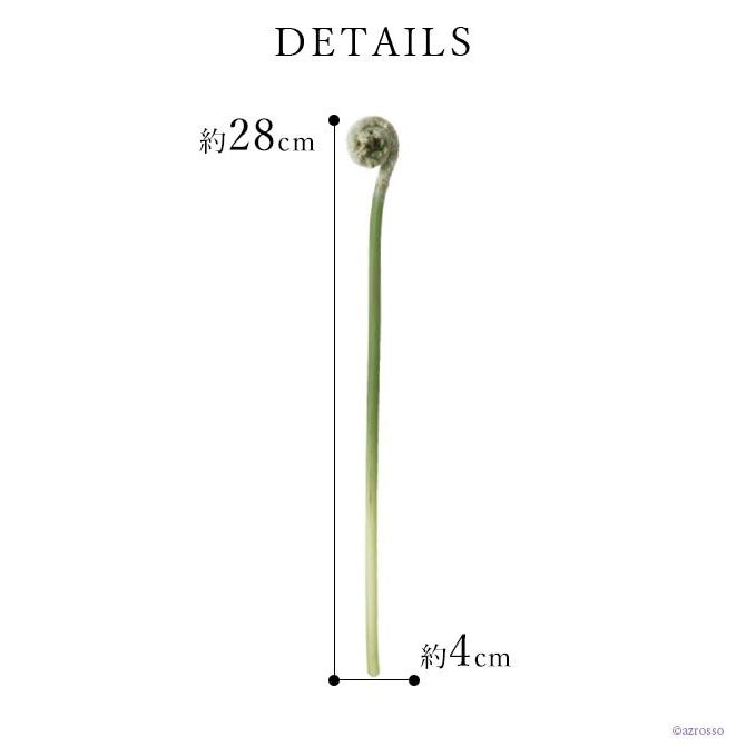 ゼンマイ ぜんまい 花 材料 グリーン 緑 インテリア おしゃれ アレンジ メント 人工 アスカ Asca 花材 造花 アートフラワー Cf シルク ド フラワー 通販 Yahoo ショッピング