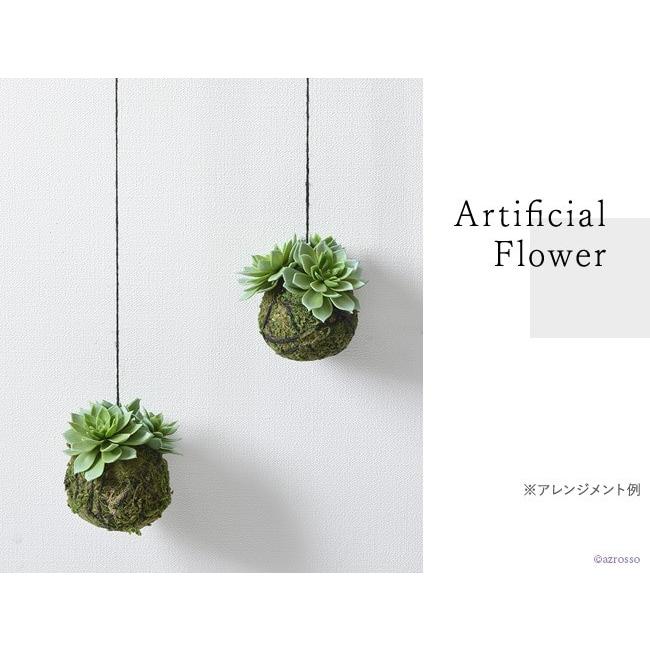 吊り下げ 観葉植物 多肉植物 2個 セット おしゃれ インテリア 天井