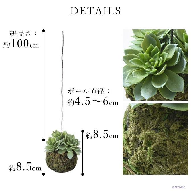 吊り下げ 観葉植物 多肉植物 2個 セット おしゃれ インテリア 天井 吊り ハンギング 造花 リアル ミニ フェイク グリーン ディスプレイ Cf S2 シルク ド フラワー 通販 Yahoo ショッピング
