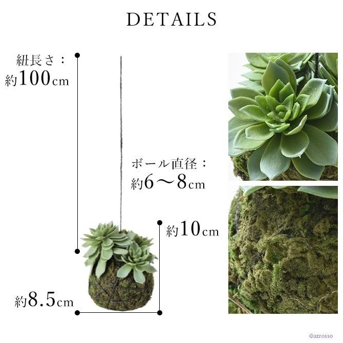 吊り下げ 観葉植物 多肉植物 2個 セット おしゃれ インテリア 天井