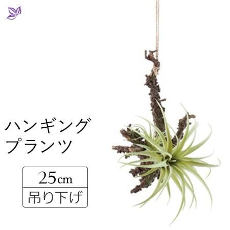 吊り下げ 観葉植物 多肉植物 おしゃれ インテリア 天井 吊り 枝 造花 リアル ミニ フェイク グリーン