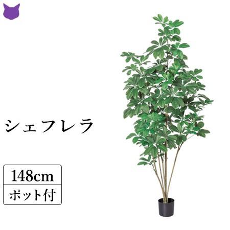 値引 フェイク グリーン 人工 観葉植物 カポック シェフレラ 1m 150 Cm おしゃれ 枯れない インテリア 室内 造花 店舗 ディスプレイ Cf シルク ド フラワー 通販 Yahoo ショッピング 珍しい Www Maxipiso Com Ar