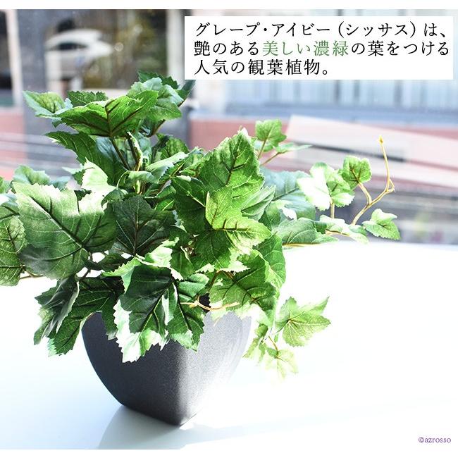 フェイク グリーン 人工 観葉植物 アイビー 造花 ミニ 小さいサイズ おしゃれ 枯れない インテリア 北欧 ナチュラル Cf シルク ド フラワー 通販 Yahoo ショッピング