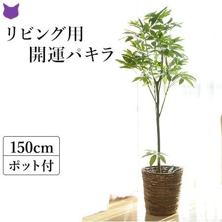 パキラ 人工 観葉植物 フェイク グリーン 造花 1m 2m おしゃれ インテリア ディスプレイ リビング 玄関 部屋 ギフト 新築 新居 Cf シルク ド フラワー 通販 Yahoo ショッピング