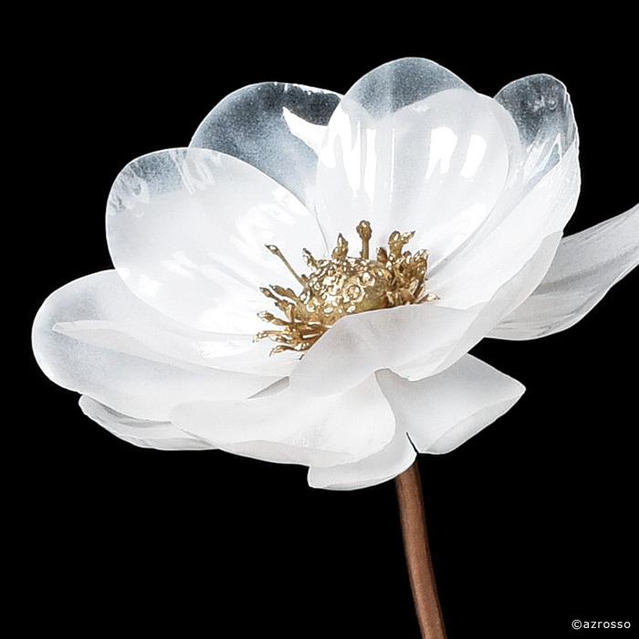 ポピー フローズン 冬 氷 雪 スノー 花 白 ホワイト インテリア おしゃれ アレンジ メント ウインター アスカ Asca 花材 造花 アートフラワー Cf シルク ド フラワー 通販 Yahoo ショッピング