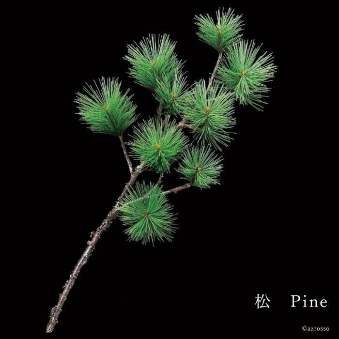 本物の 松 老松 門松 正月 飾り 新春 インテリア 造 花 材 観葉植物 フェイク グリーン 迎春 祝 Wantannas Go Id