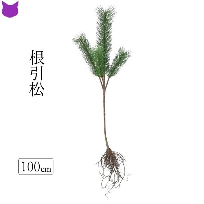 松 根引松 門松 正月 飾り 新春 インテリア 造 花 材 観葉植物 フェイク グリーン 迎春 祝 Cf シルク ド フラワー 通販 Yahoo ショッピング