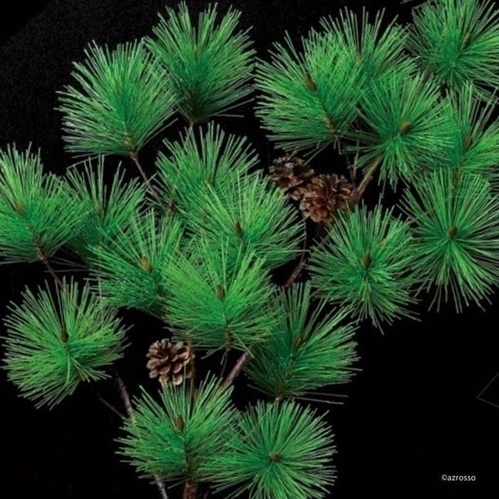 松 老松 門松 正月 飾り 新春 インテリア 造 花 材 観葉植物 フェイク グリーン 迎春 祝 贅沢屋の