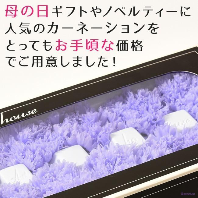 カーネーション 母の日 花 プリザーブド フラワー 切り花 花材 紫