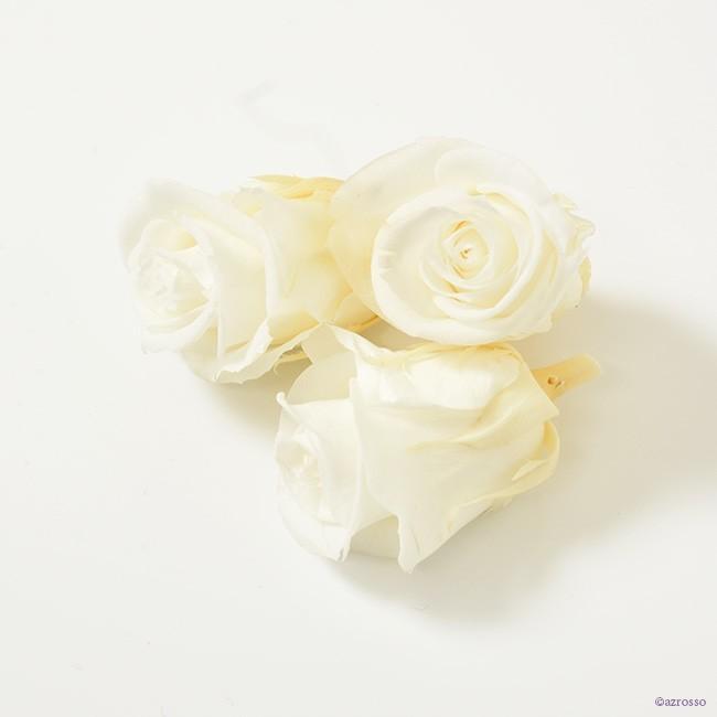 プリザーブド フラワー プリザ ローズ バラ 花材 切り花 白 ホワイト
