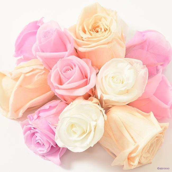 プリザーブド フラワー プリザ ローズ バラ 花材 切り花 白 ホワイト