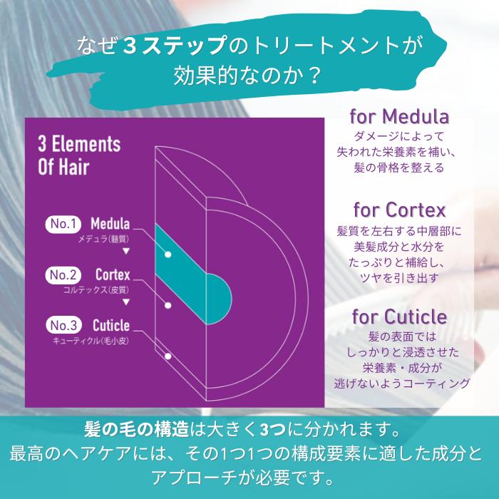 新品未使用 イミュライズ 3ステップ システムトリートメント 翌日発送 オージュア イミュライズ 3ステップサロントリートメント - メルカリ