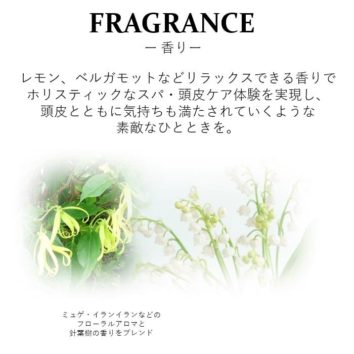 ポイント15倍！ 2個セット フェンテフォルテ トリートメント 1800g 大