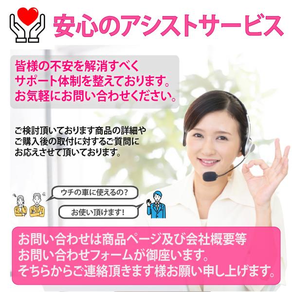 ALPINE（アルパイン） ナビ キャンセラー テレビキット BIG-X 11型