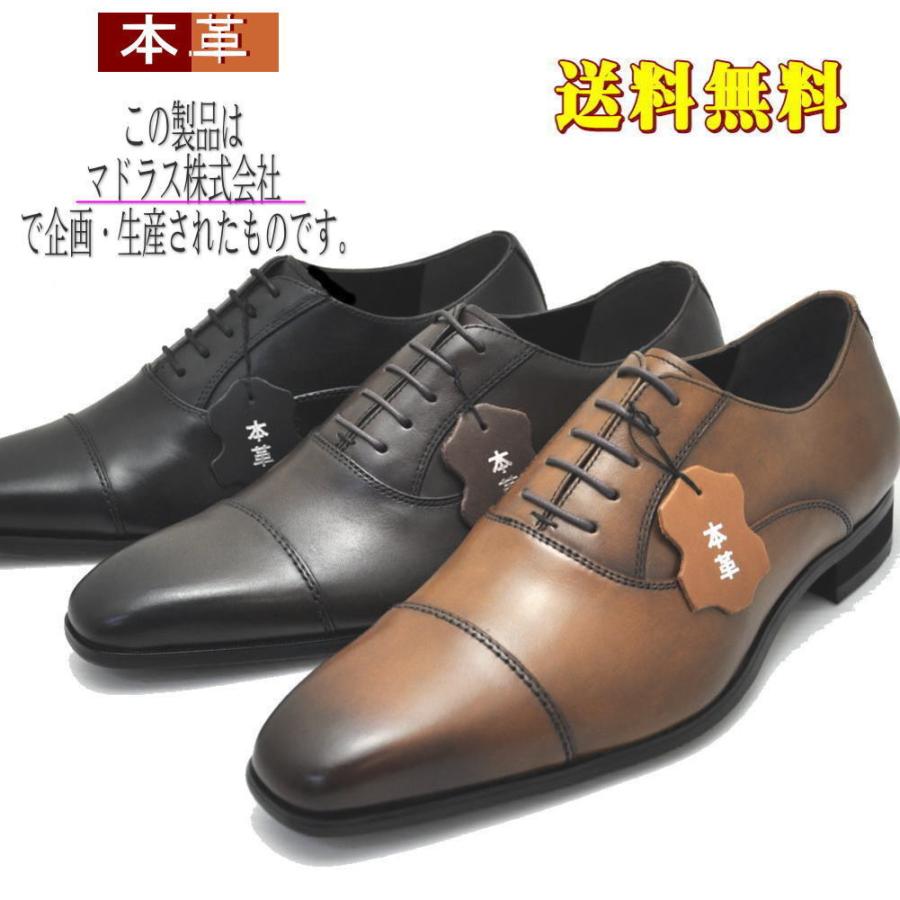 madras（マドラス） マドラス社製3E MDLorPERRY COLLECTION モデーロ