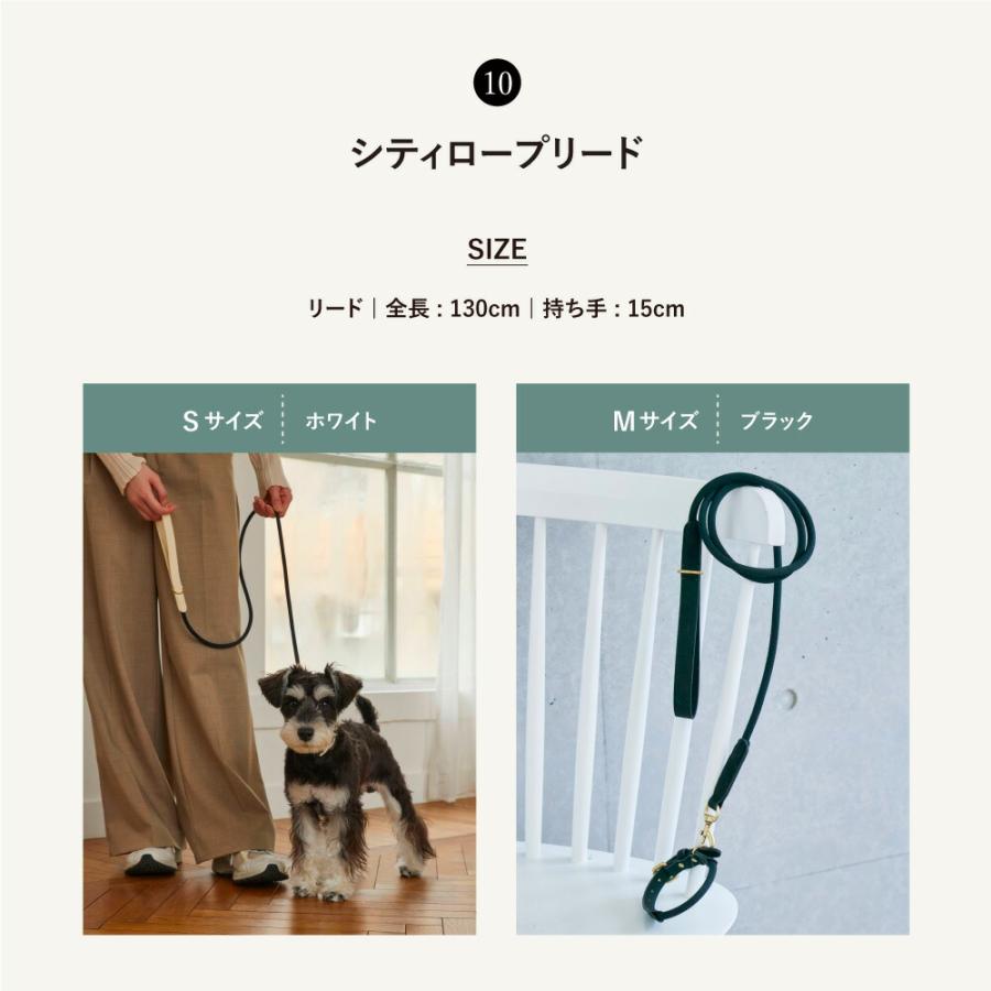 citydog シティドッグ 1weekお散歩セット ｜ 犬 猫 ペット 福袋