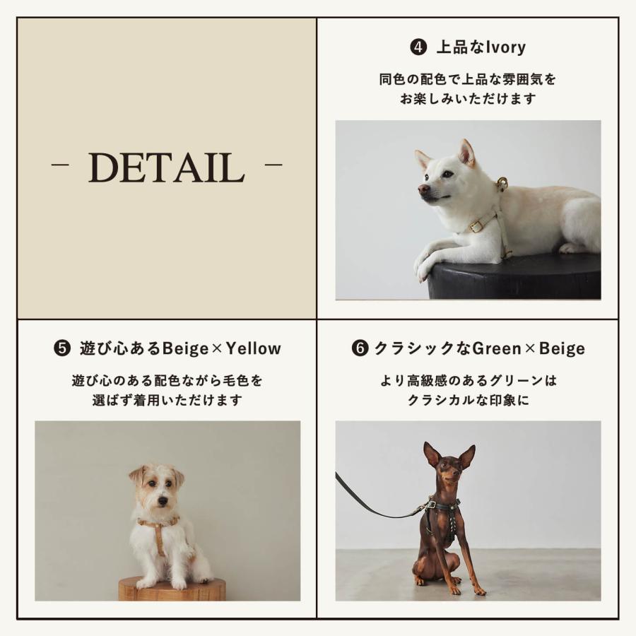 CITYDOG（シティドッグ） ハーネス 犬 本革 おしゃれ 猫 ペット 胴輪