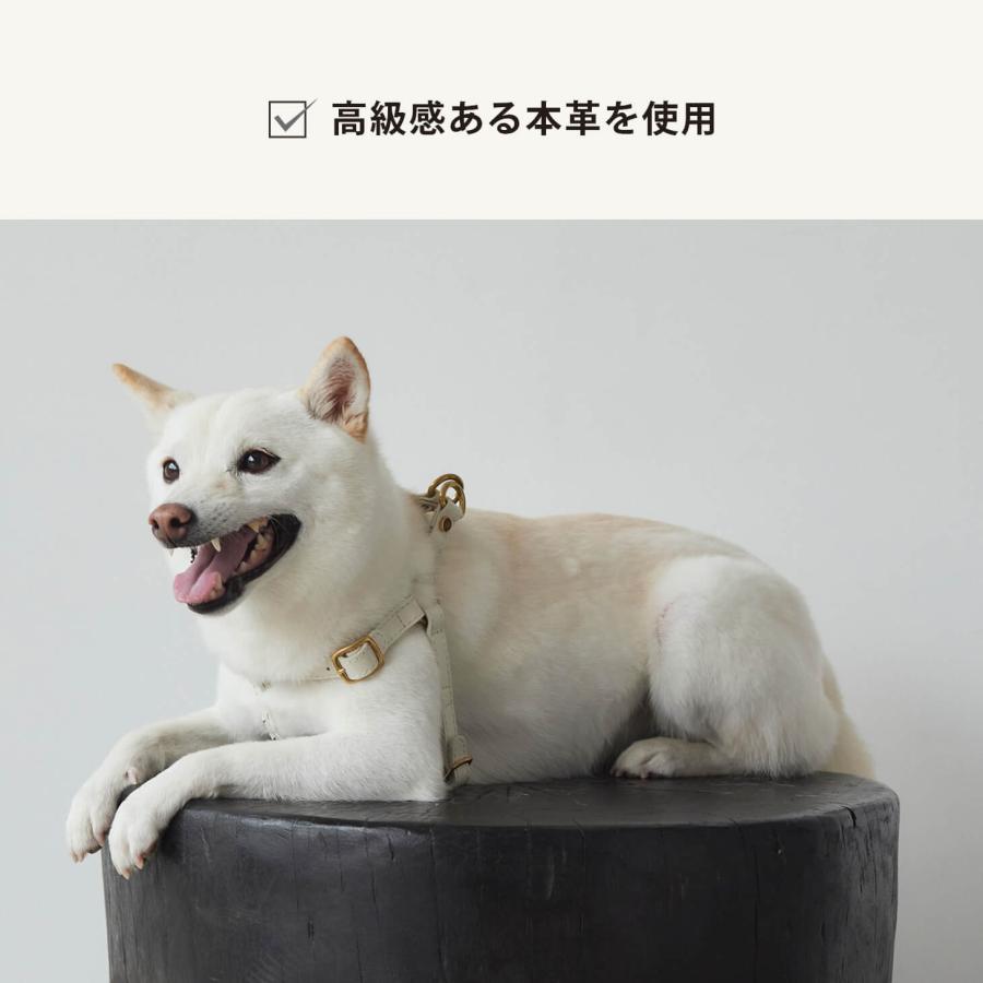 CITYDOG（シティドッグ） ハーネス 犬 本革 おしゃれ 猫 ペット 胴輪