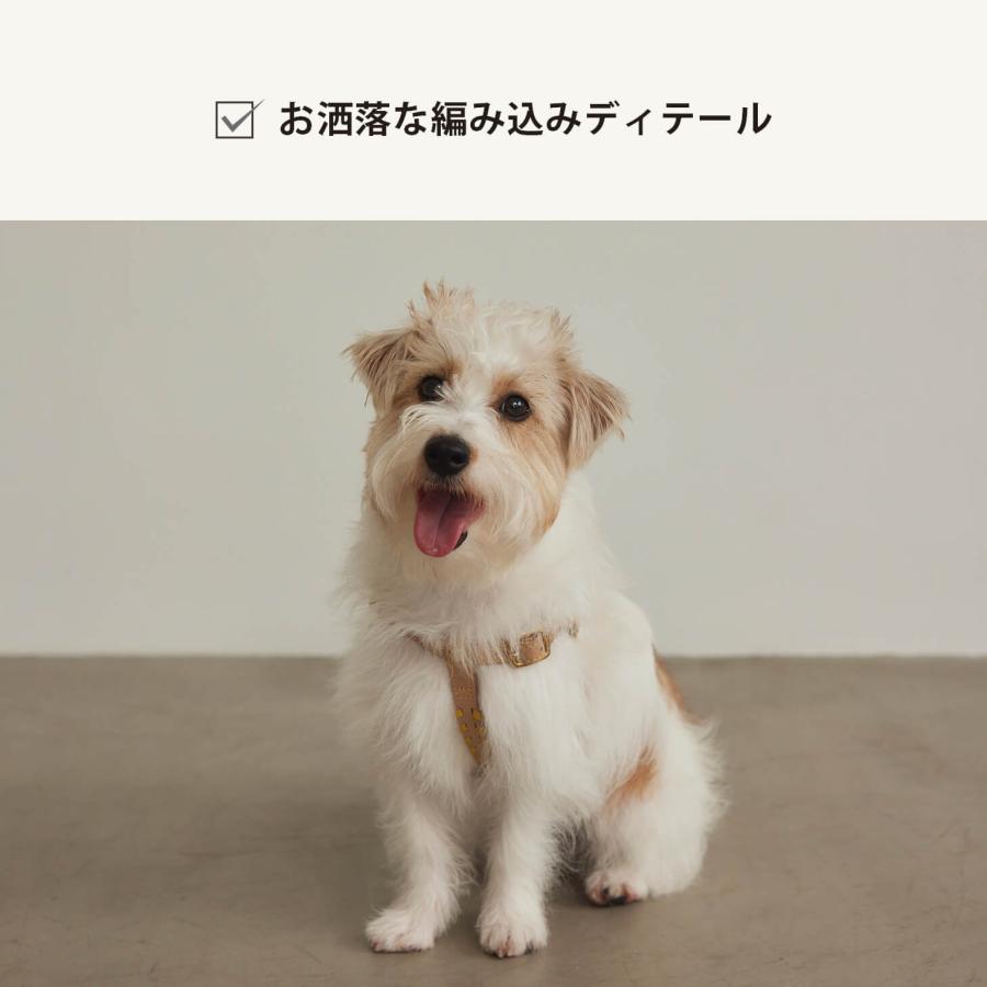CITYDOG（シティドッグ） ハーネス 犬 本革 おしゃれ 猫 ペット 胴輪