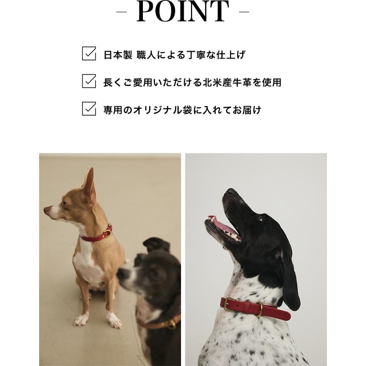 NEIGHBORHOOD 犬用　dog 首輪 Amazon.co.jp: NEIGHBORHOOD ネイバーフッド dog 犬 ドッグ 首輪