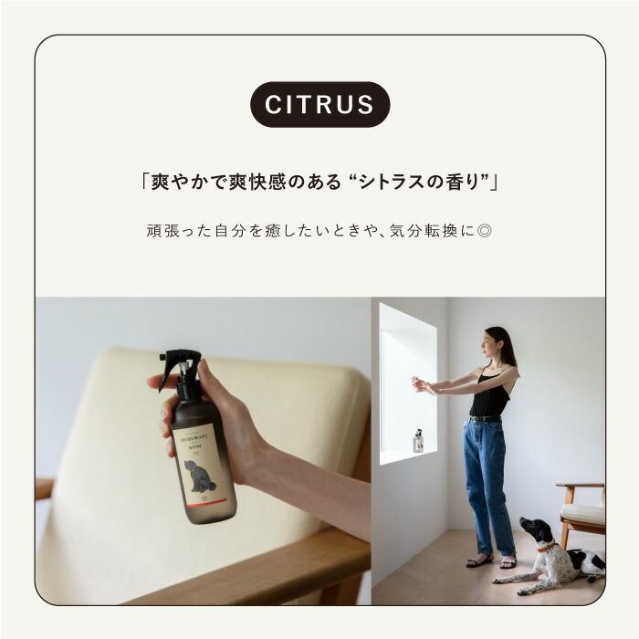 ペット用 消臭剤 犬 猫 ONERAY スプレー ボトル トイレ用 お部屋用 臭い トイレ臭 尿臭 ゲージ ケージ │ citydog シティドッグ │ ワンレイ【詰め替え用】 | CITYDOG | 16