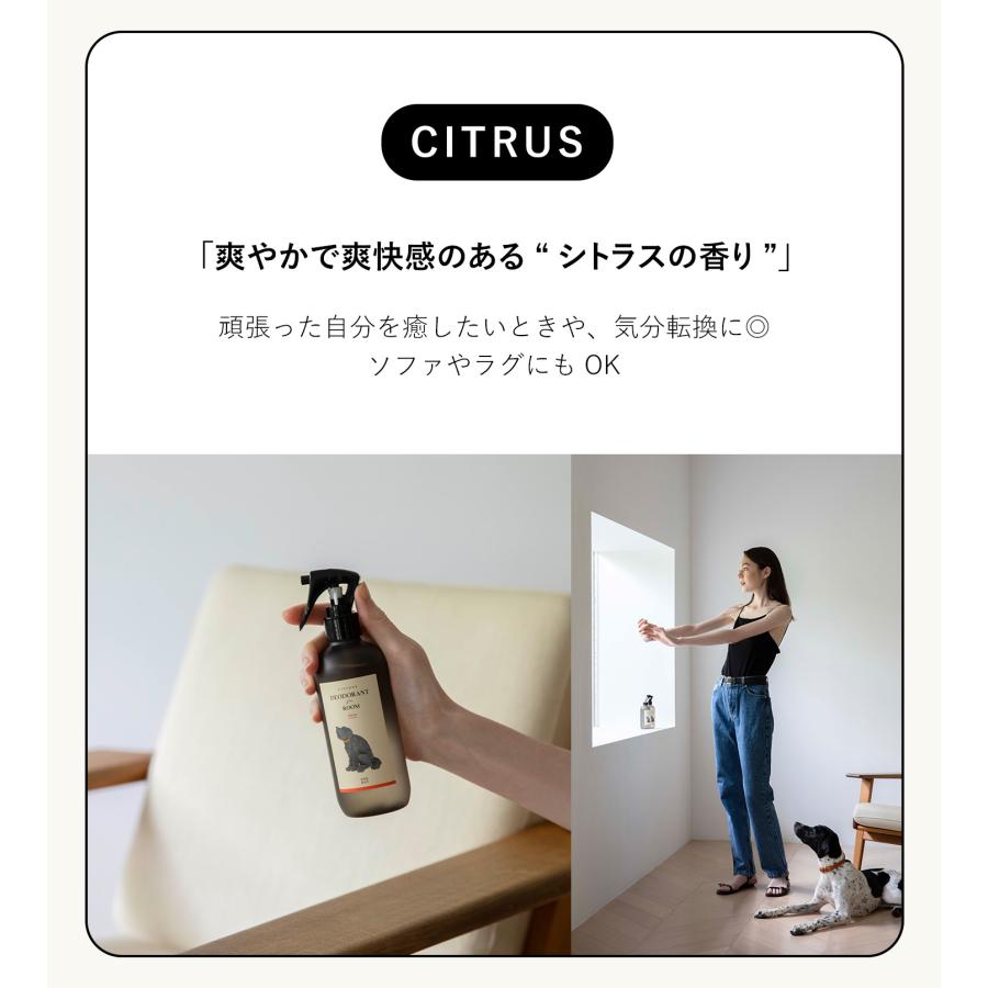 ペット用 消臭剤 犬 猫 おしゃれ ONERAY スプレー ボトル トイレ用 お部屋用 臭い トイレ臭 尿臭 消臭 ゲージ ケージ│ citydog シティドッグ │ ワンレイ | CITYDOG | 14