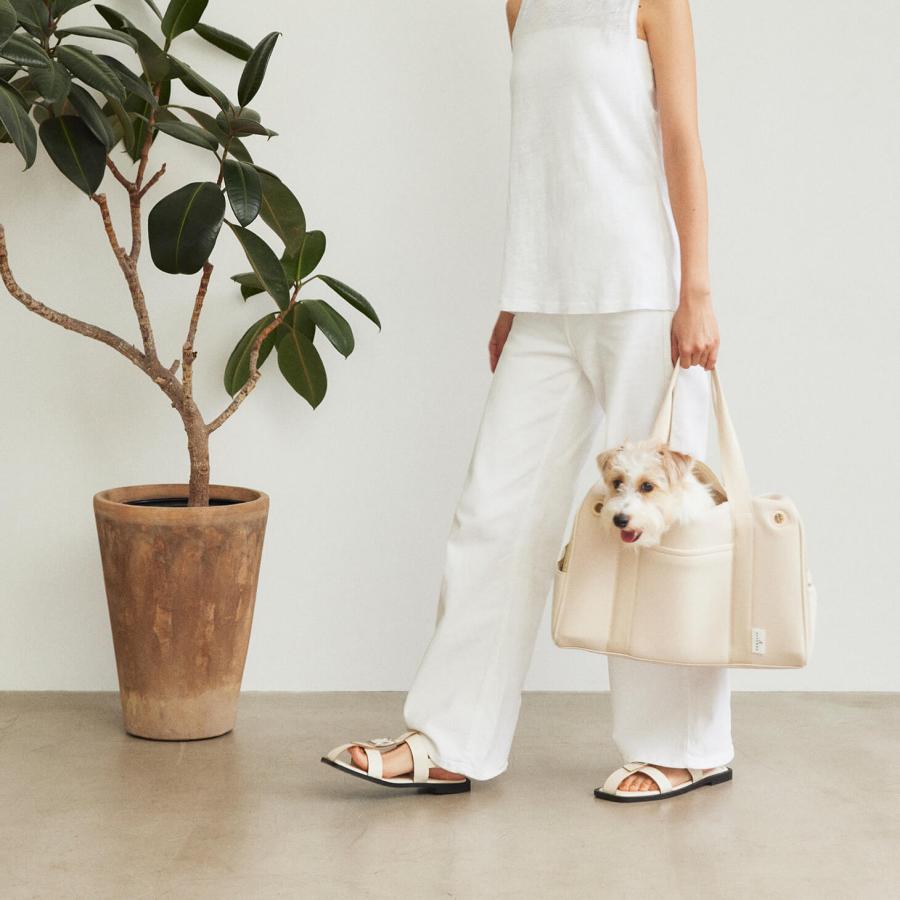 CITYDOG ペットキャリー 犬 キャリーバッグ 犬キャリーケース CITYDOG ペットキャリー 犬 キャリーバッグ 犬キャリーケース