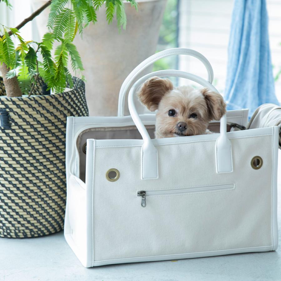 CITYDOG ペットキャリー 犬 キャリー バッグ 犬キャリーケース CITYDOG ペットキャリー 犬 キャリー バッグ 犬キャリーケース