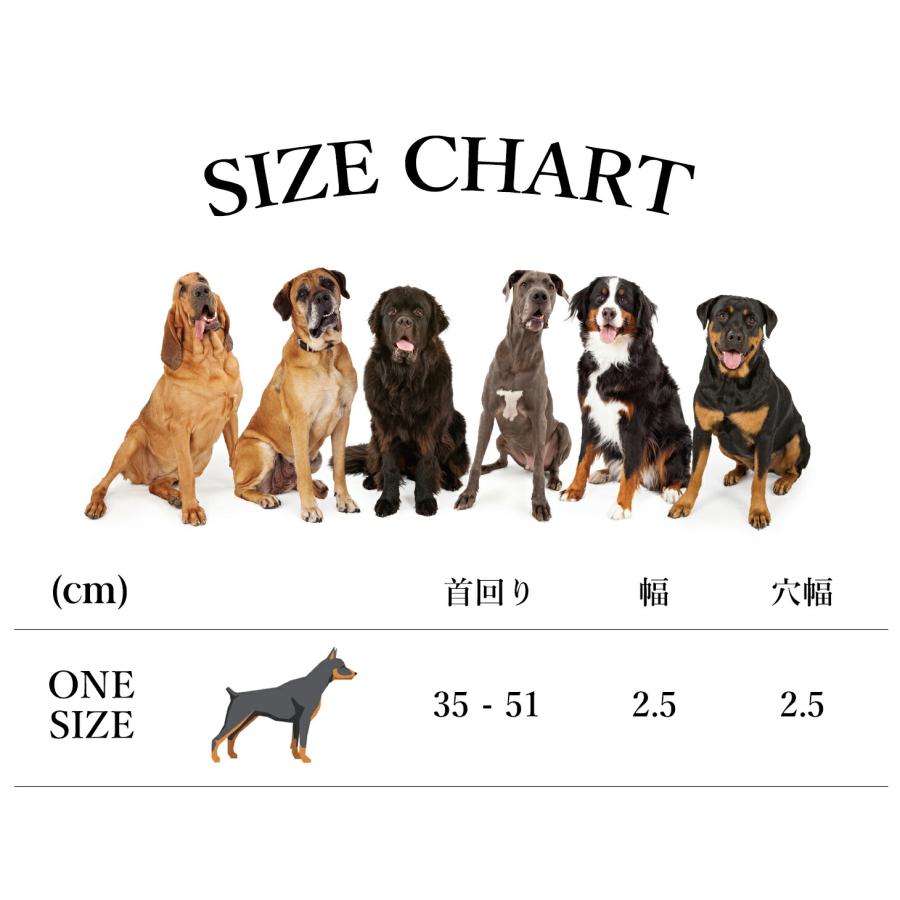 CITYDOG 首輪 犬 本革 革 リード 伸縮 かわいい ハーネス 2頭