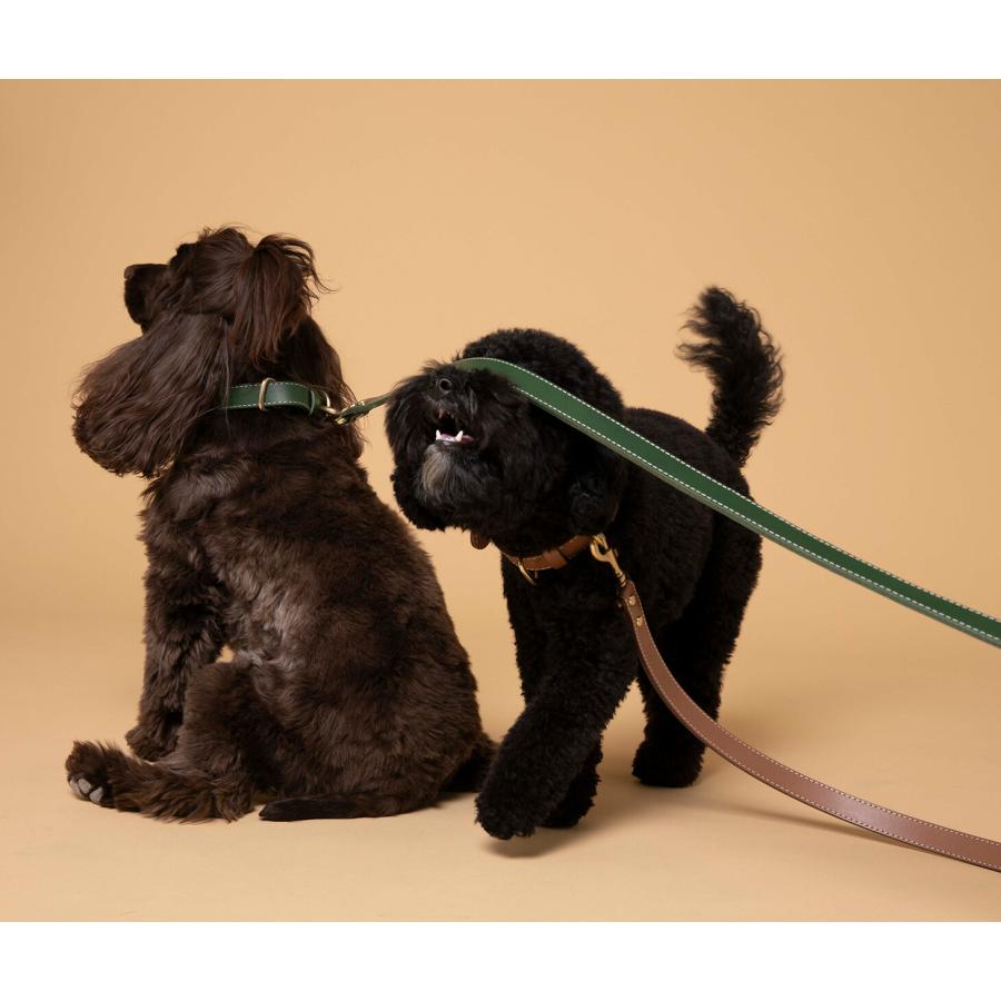 CITYDOG 犬 リード 大型犬 本革 革 猫 ペット 伸縮 ハーネス CITYDOG 犬 リード 大型犬 本革 革 猫 ペット 伸縮 ハーネス